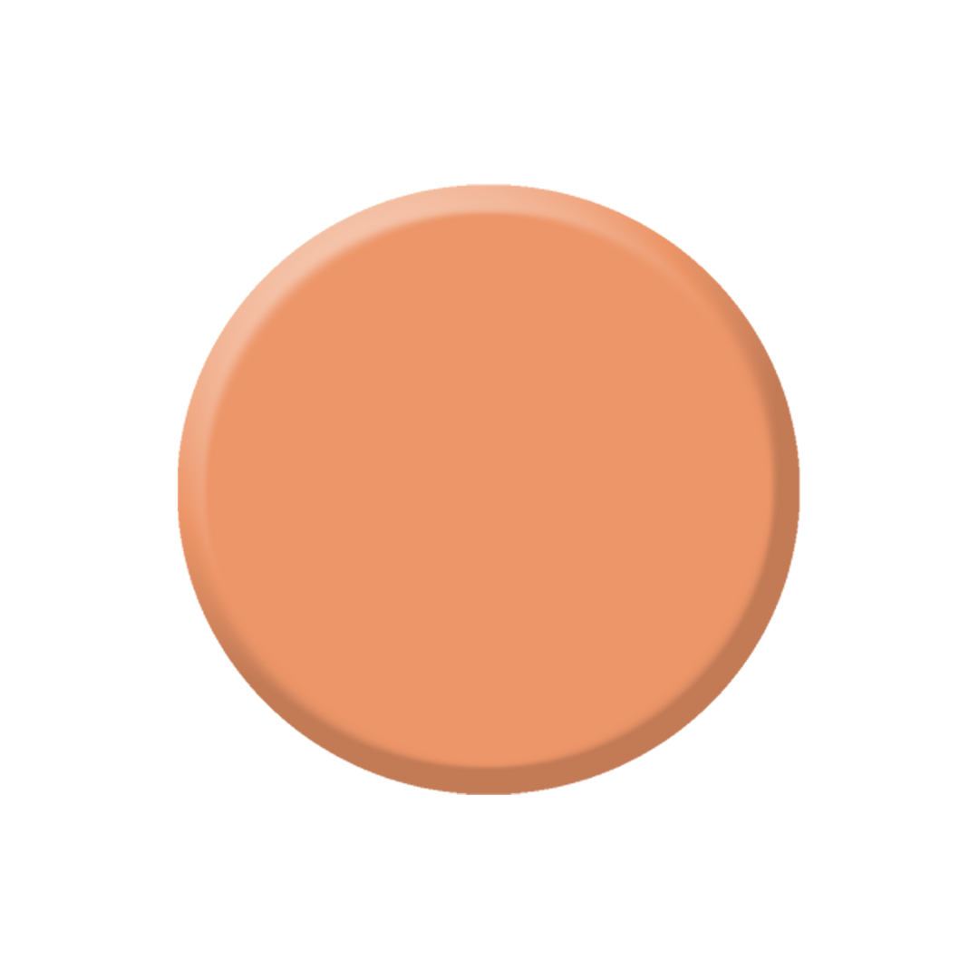 CAMOUFLAGE CORRECTOR