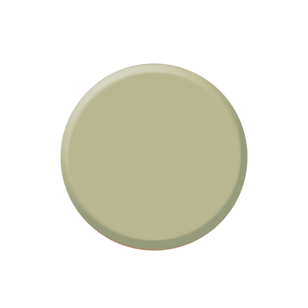 CAMOUFLAGE CORRECTOR