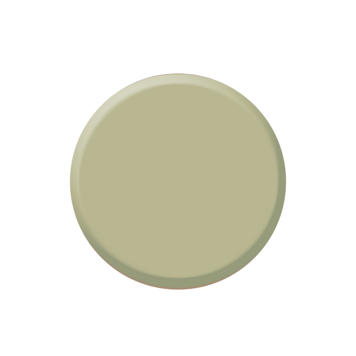 CAMOUFLAGE CORRECTOR